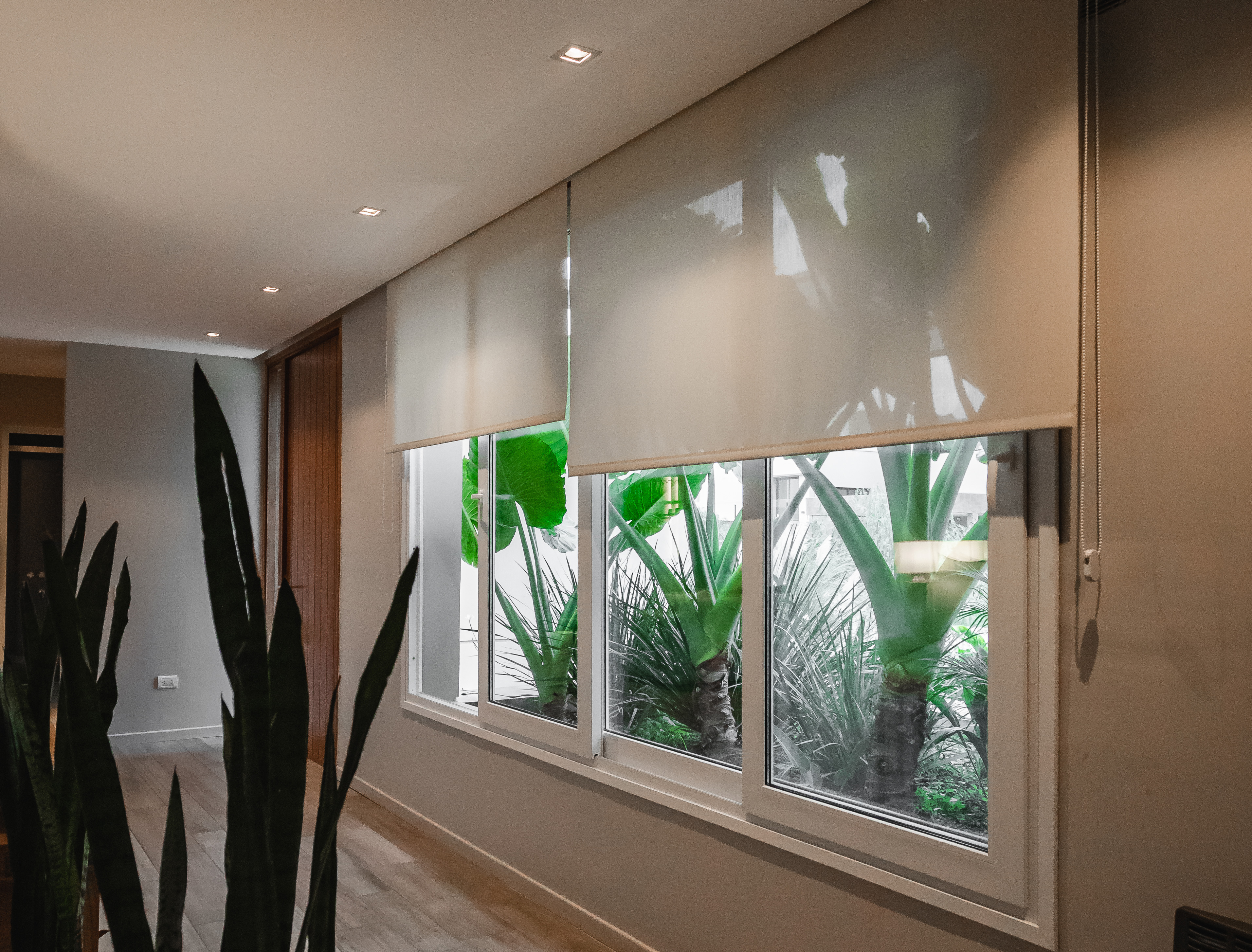 Ambiente moderno con cortinas roller Decortinas - Diseño contemporáneo